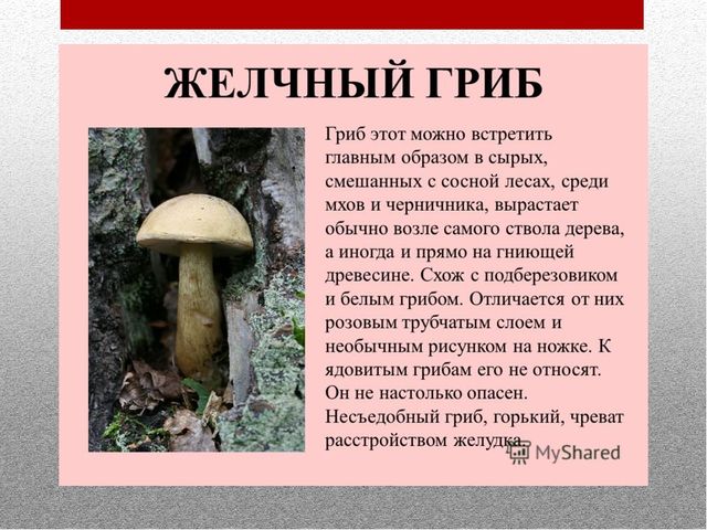 Деловая игра для педагогов по ОБЖ
