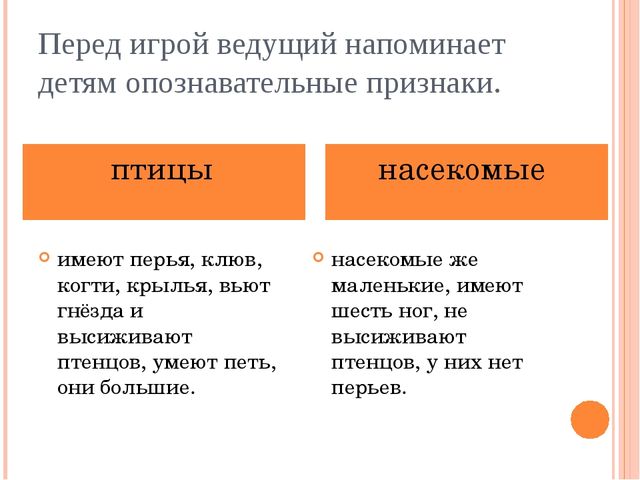 Презентация "Летает, а не птица"