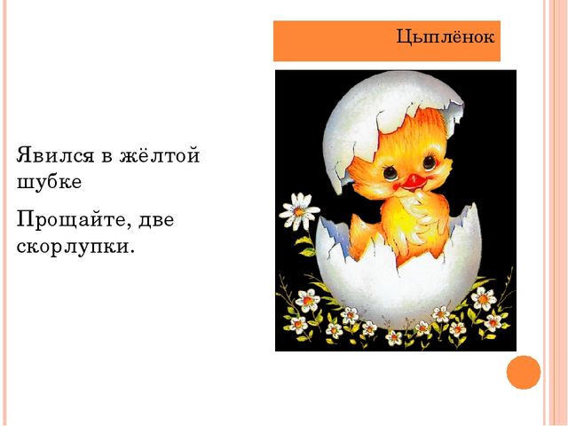 Презентация "Летает, а не птица"