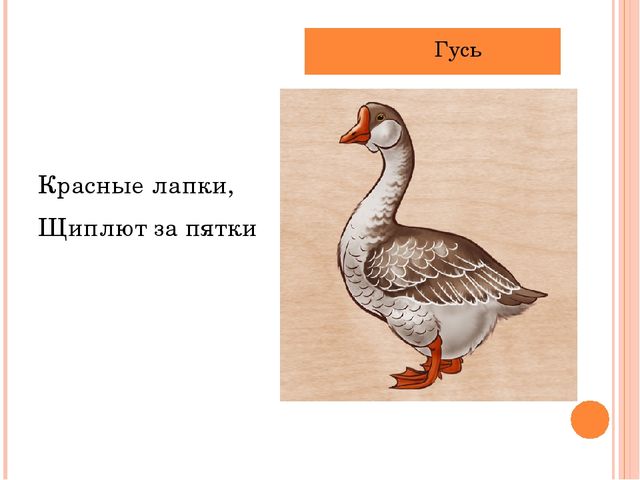 Презентация "Летает, а не птица"