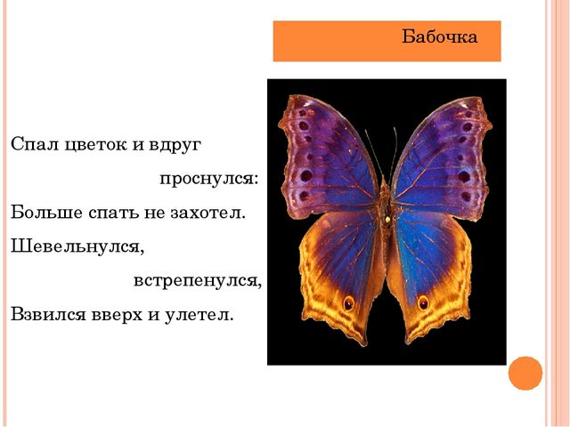 Презентация "Летает, а не птица"