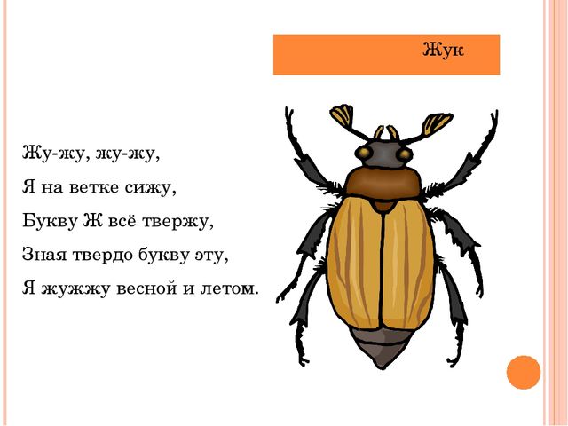 Презентация "Летает, а не птица"