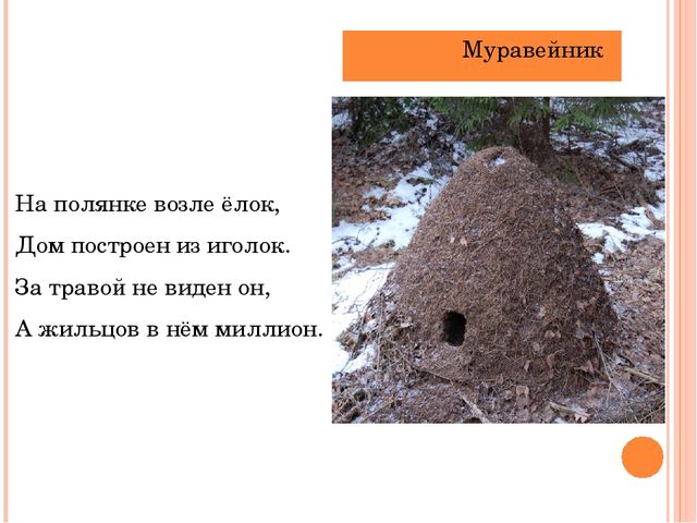 Презентация "Летает, а не птица"