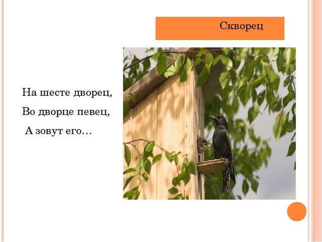 Презентация "Летает, а не птица"