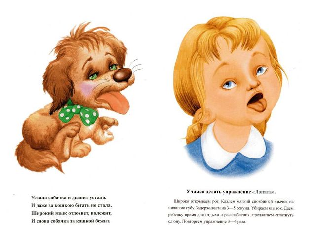 Презентация на тему: "Артикуляционная гимнастика в ДОУ"