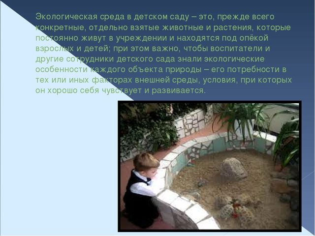 Презентация по экологическому воспитанию "Организация предметно - пространственной среды в группах ДОУ"