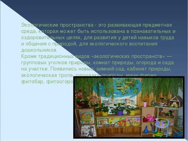 Презентация по экологическому воспитанию "Организация предметно - пространственной среды в группах ДОУ"