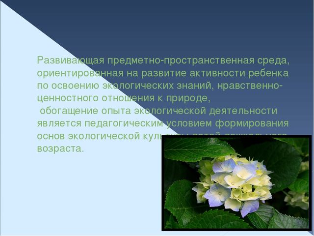 Презентация по экологическому воспитанию "Организация предметно - пространственной среды в группах ДОУ"