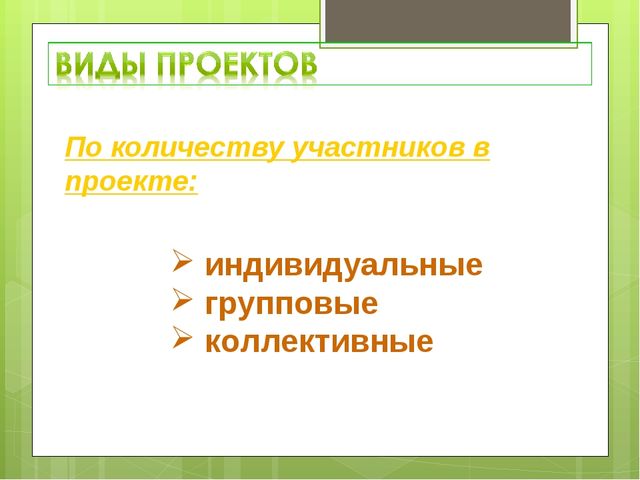 Организация системы работы по внедрению проектной деятельности в образовательный процесс