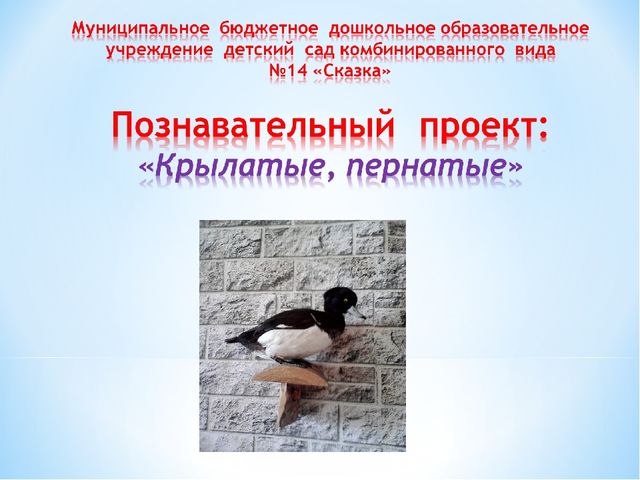 Организация системы работы по внедрению проектной деятельности в образовательный процесс