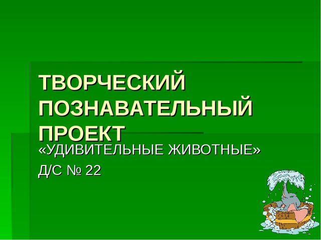 Организация системы работы по внедрению проектной деятельности в образовательный процесс
