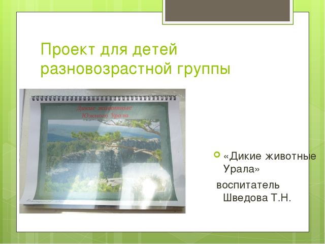 Организация системы работы по внедрению проектной деятельности в образовательный процесс