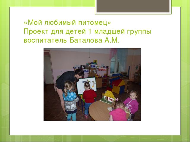 Организация системы работы по внедрению проектной деятельности в образовательный процесс