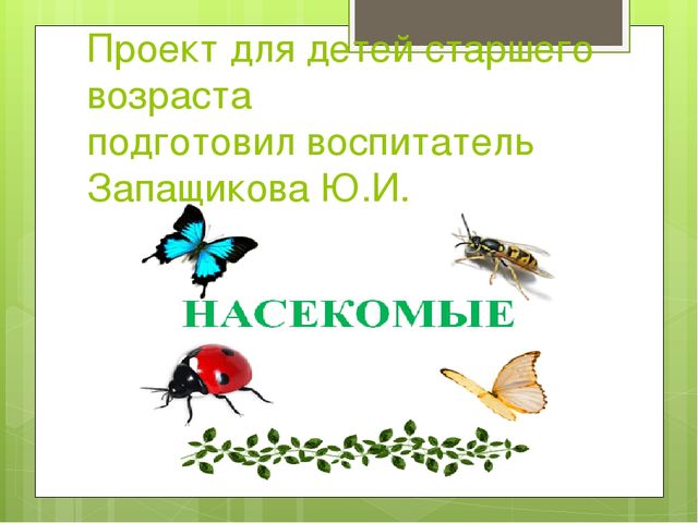 Организация системы работы по внедрению проектной деятельности в образовательный процесс