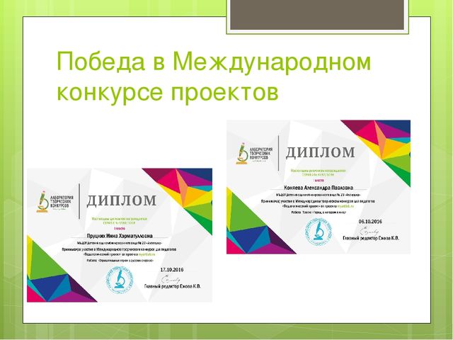 Организация системы работы по внедрению проектной деятельности в образовательный процесс