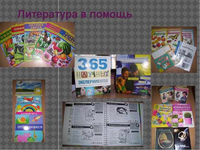 Презентация "Экспериментально исследовательская деятельность дошкольников"