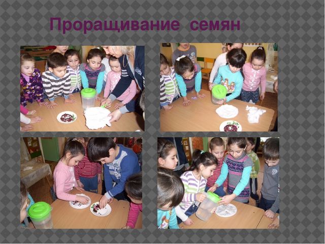 Презентация "Экспериментально исследовательская деятельность дошкольников"