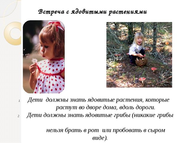 Родительское собрание "Безопасность ребенка"