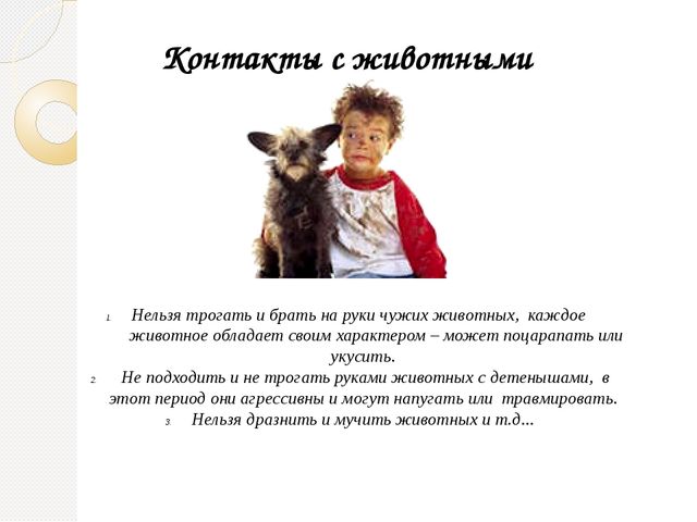 Родительское собрание "Безопасность ребенка"