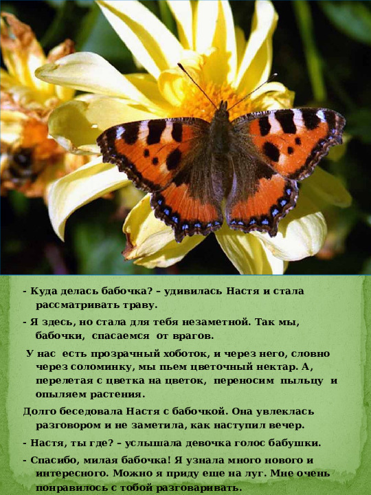 Презентация экологической сказки "История про бабочку и девочку Настю"