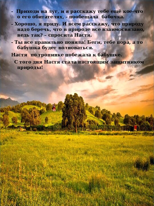 Презентация экологической сказки "История про бабочку и девочку Настю"