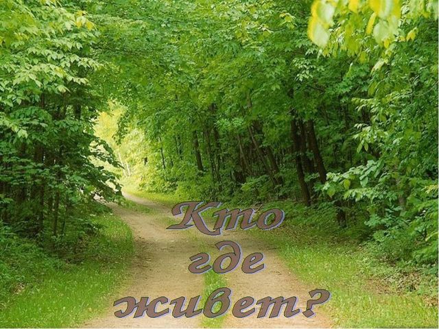 Электронная игра "Кто где живет?"