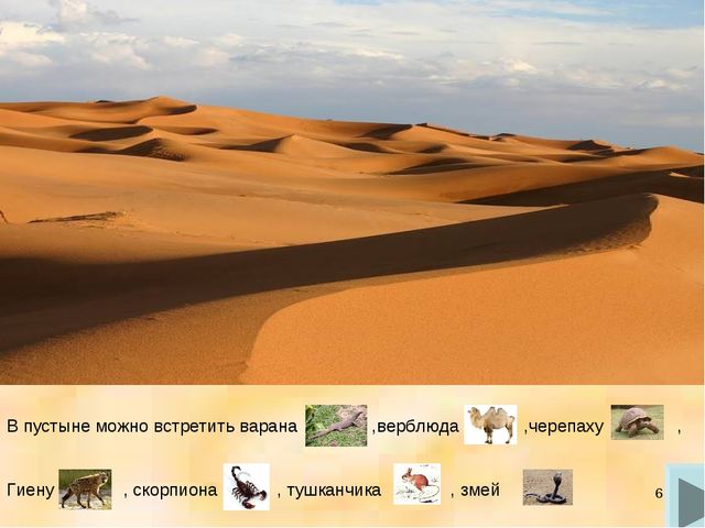 Электронная игра "Кто где живет?"