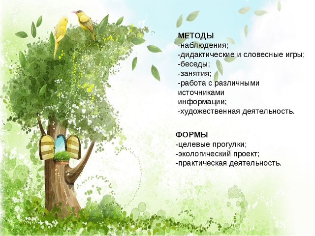 Презентация по окружающему миру на тему "Слёт птиц"