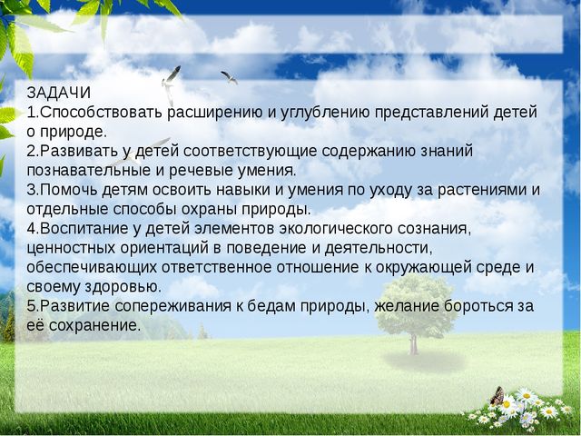 Презентация по экологии на тему " Прикоснуться к природе с любовью"