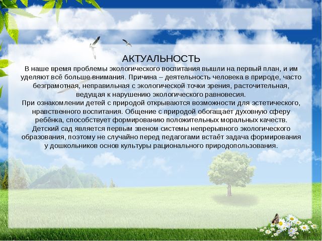 Презентация по экологии на тему " Прикоснуться к природе с любовью"