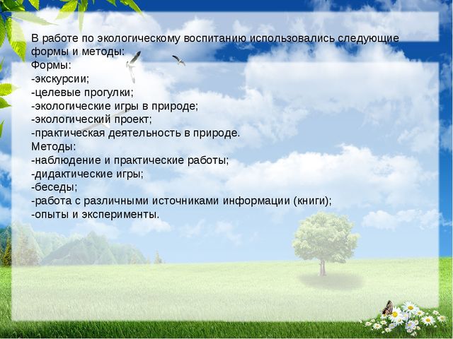 Презентация по экологии на тему " Прикоснуться к природе с любовью"
