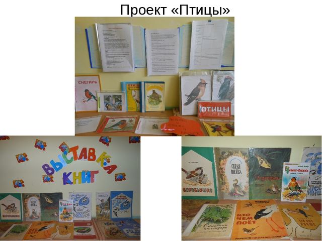 Презентация по экологии на тему " Прикоснуться к природе с любовью"