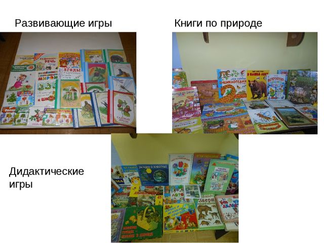 Презентация по экологии на тему " Прикоснуться к природе с любовью"