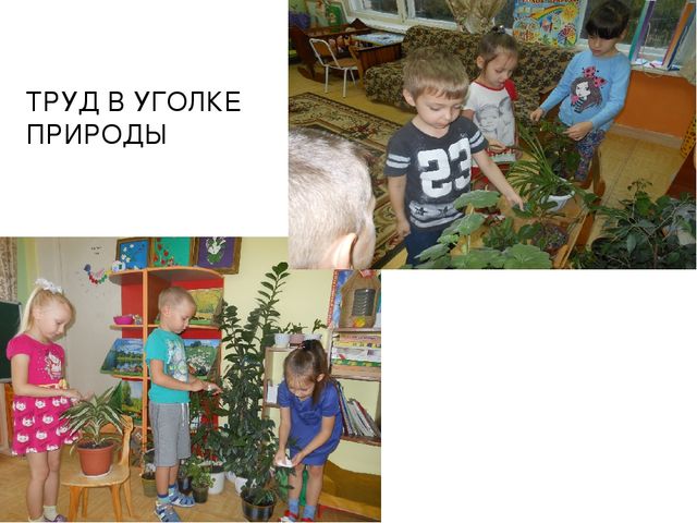 Презентация по экологии на тему " Прикоснуться к природе с любовью"