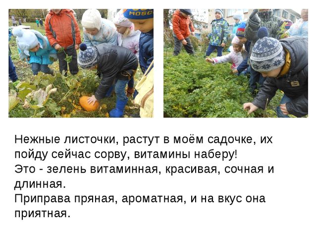 Презентация по экологии на тему " Прикоснуться к природе с любовью"
