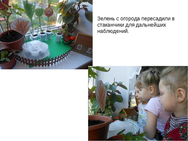 Презентация по экологии на тему " Прикоснуться к природе с любовью"