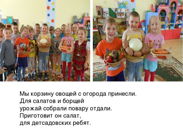 Презентация по экологии на тему " Прикоснуться к природе с любовью"