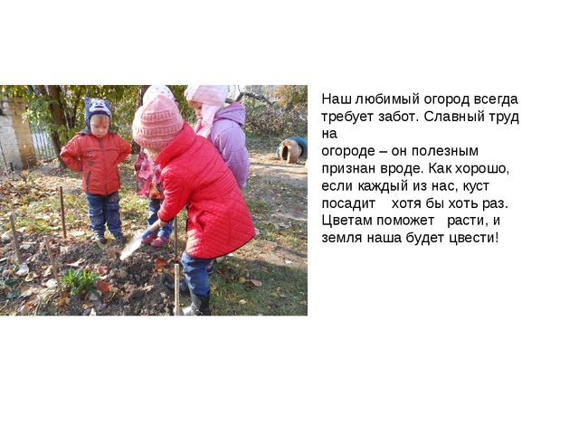 Презентация по экологии на тему " Прикоснуться к природе с любовью"