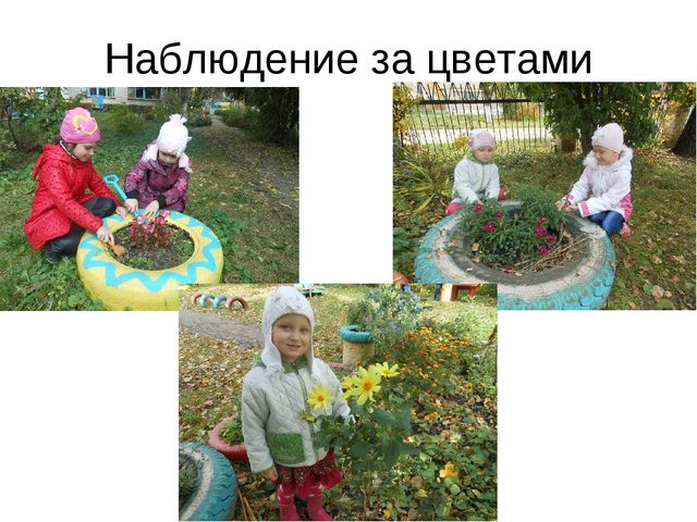 Презентация по экологии на тему " Прикоснуться к природе с любовью"