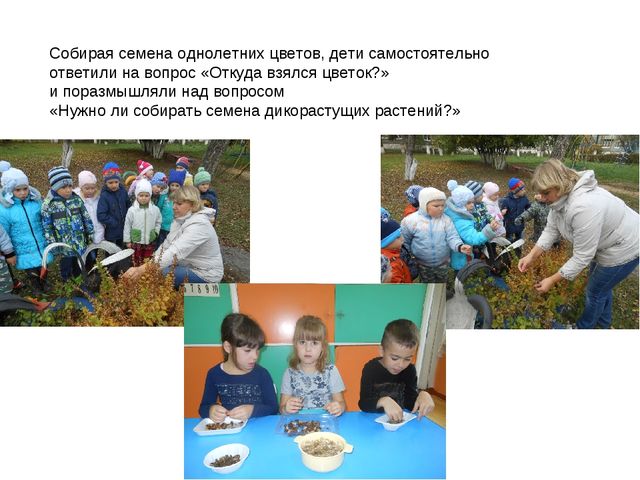 Презентация по экологии на тему " Прикоснуться к природе с любовью"