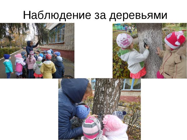 Презентация по экологии на тему " Прикоснуться к природе с любовью"