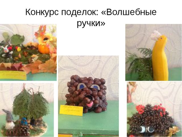 Презентация по экологии на тему " Прикоснуться к природе с любовью"