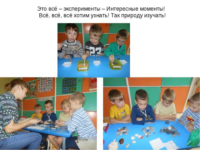 Презентация по экологии на тему " Прикоснуться к природе с любовью"