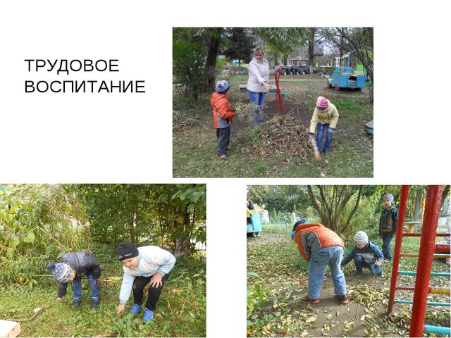 Презентация по экологии на тему " Прикоснуться к природе с любовью"