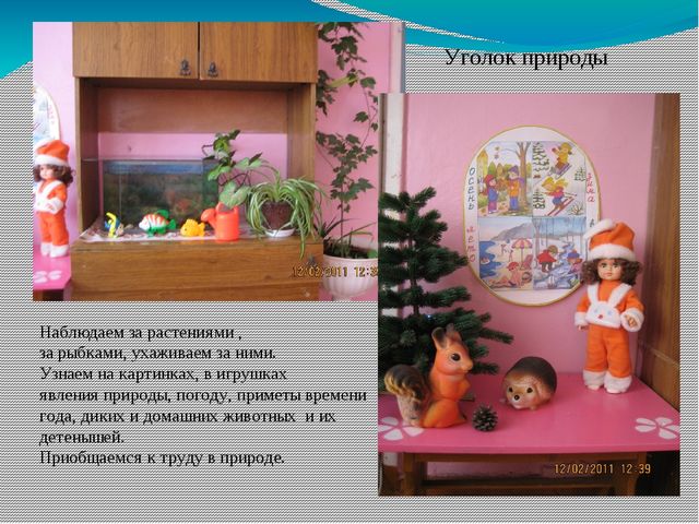 Презентация "Развивающая среда в группе раннего возраста"