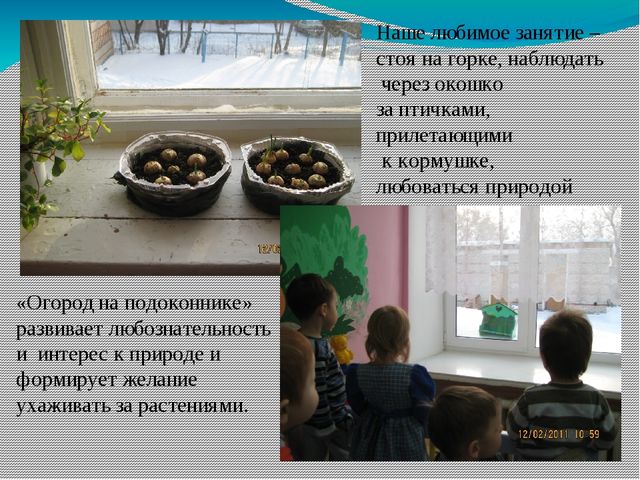 Презентация "Развивающая среда в группе раннего возраста"