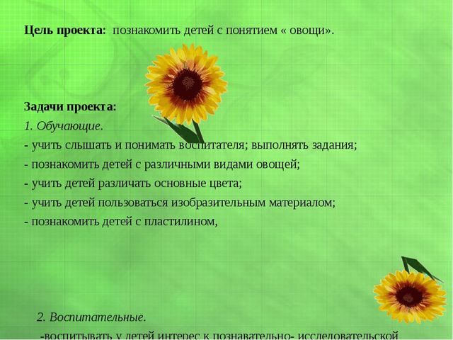 Презентация экологического проекта в первой младшей группе "Подарки с грядки"