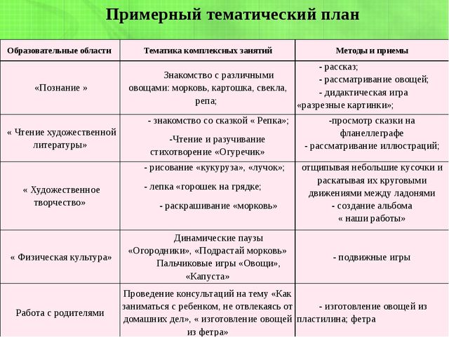 Презентация экологического проекта в первой младшей группе "Подарки с грядки"