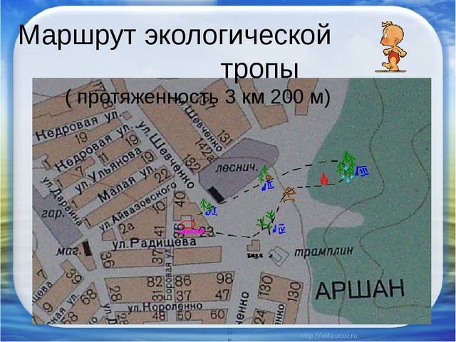 Презентация "Красная книга Аршана"