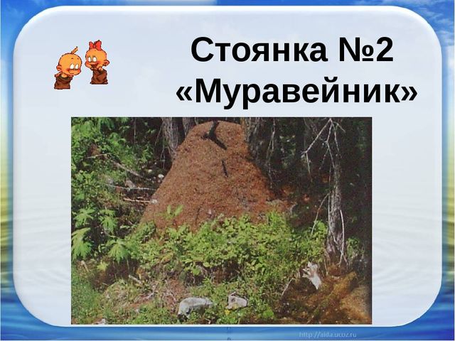 Презентация "Красная книга Аршана"